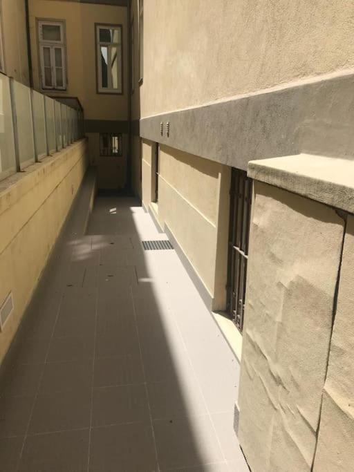 Apartament Torrinha'S Backyard Porto Zewnętrze zdjęcie