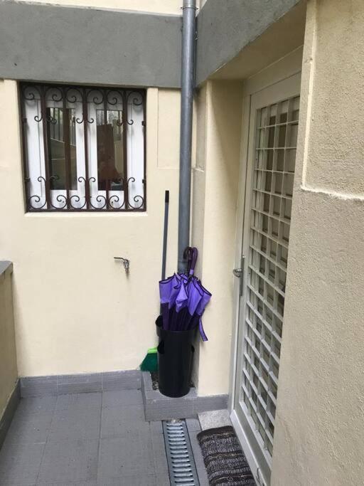Apartament Torrinha'S Backyard Porto Zewnętrze zdjęcie